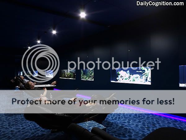 gambar 10 Kursi Pijat & aquarium