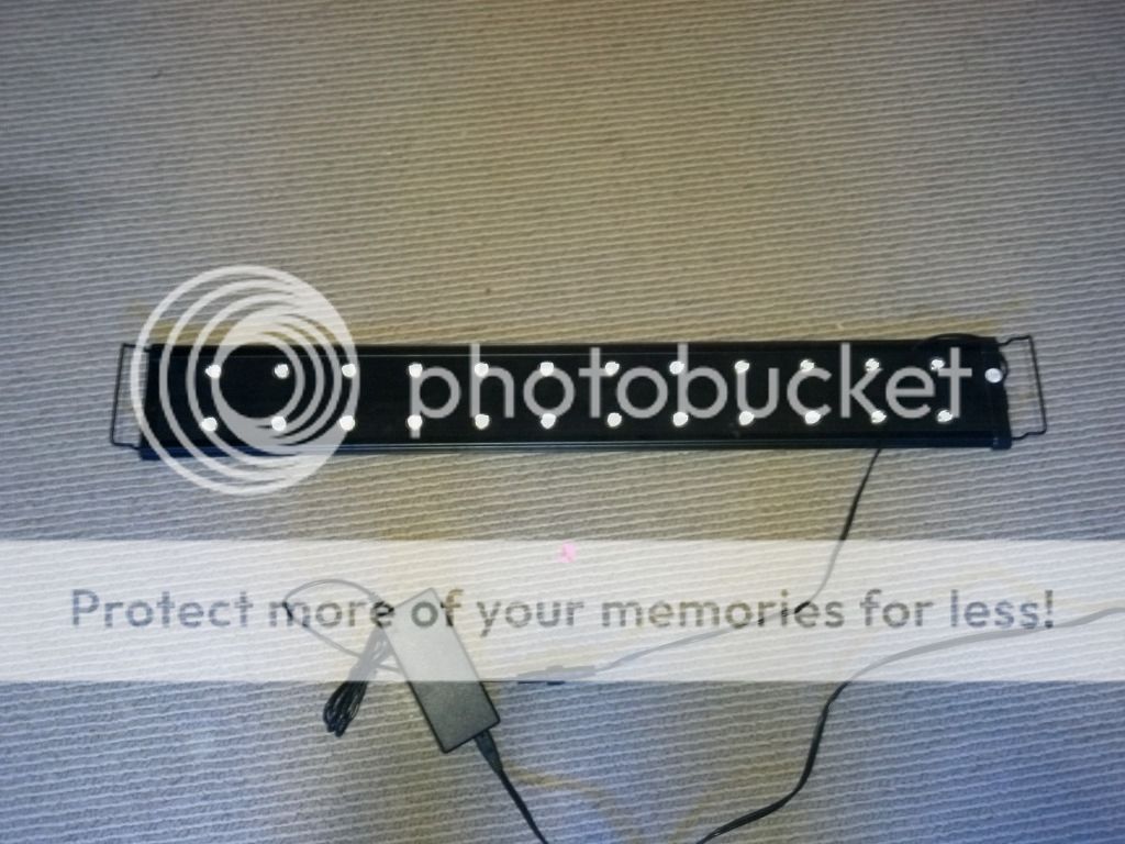 Uploaded from the Photobucket Android App