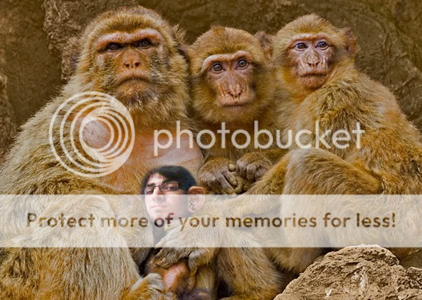 monoskq1copia.jpg